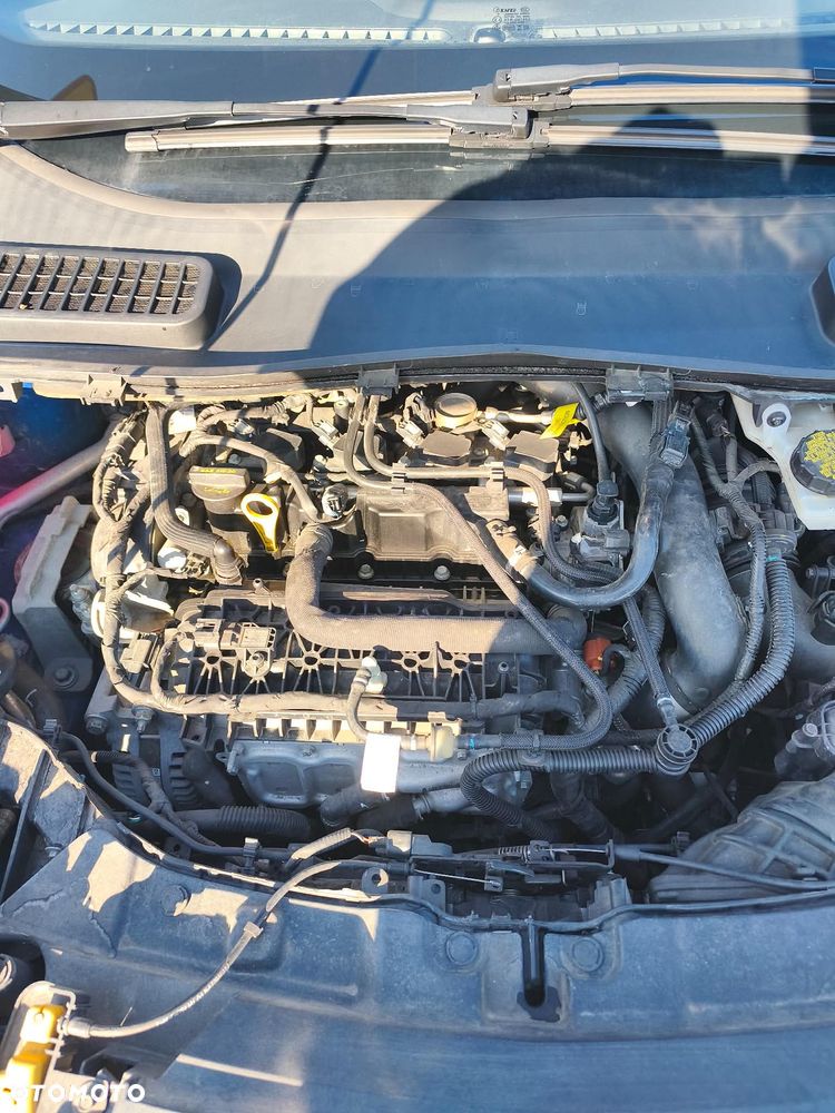 Ford Escape 1.5 EcoBoost AWD SE - 7