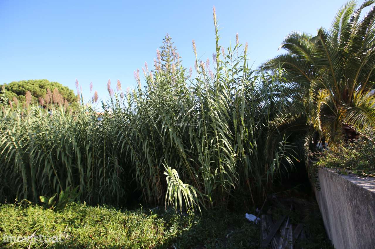 Terreno de 1015 m² na Rinchoa - Grande imagem: 4/16