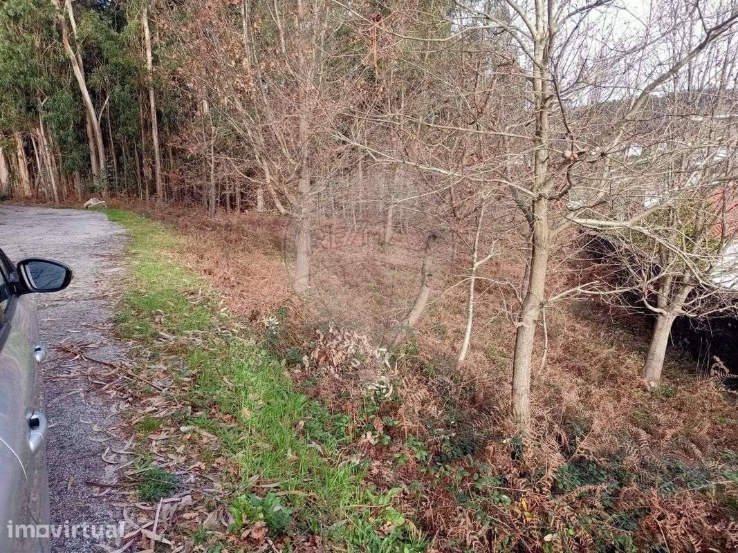 Terreno  para venda - Grande imagem: 3/46