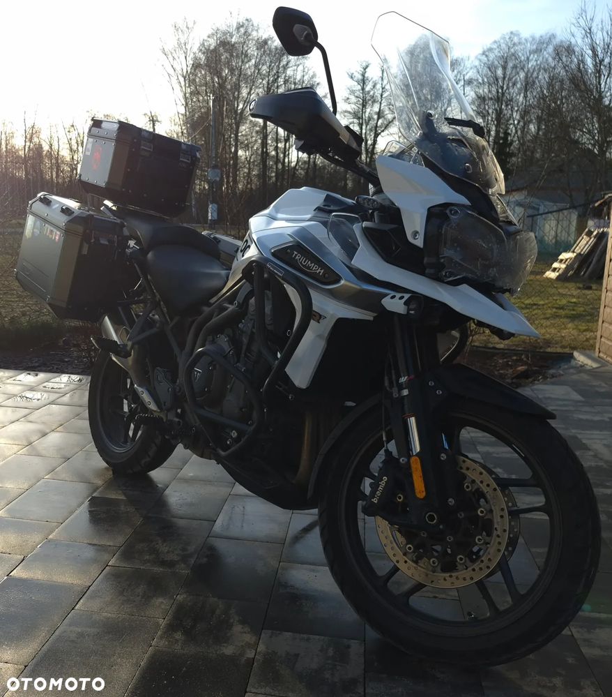 Triumph Tiger - 23
