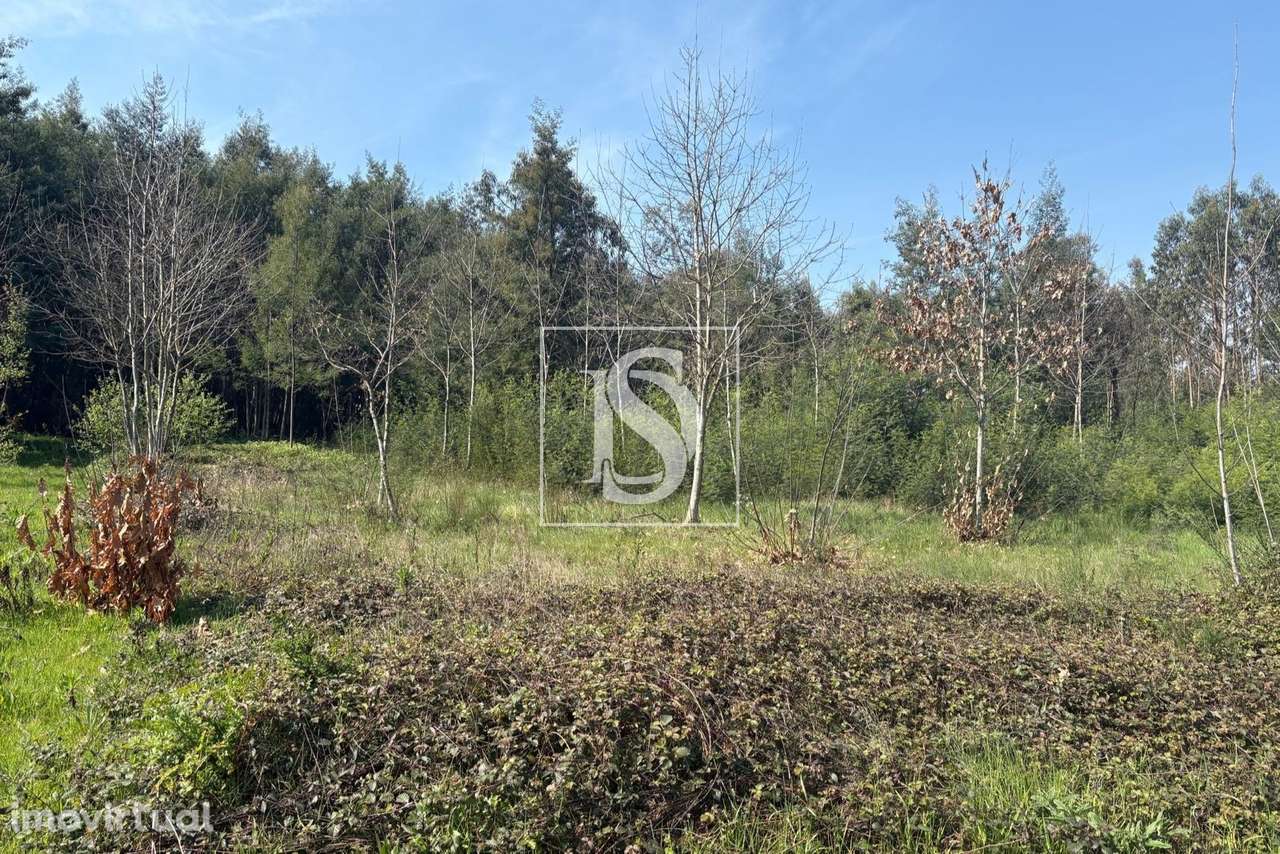 Terreno de 6.980m2 com ruína em Tondela - Grande imagem: 2/17