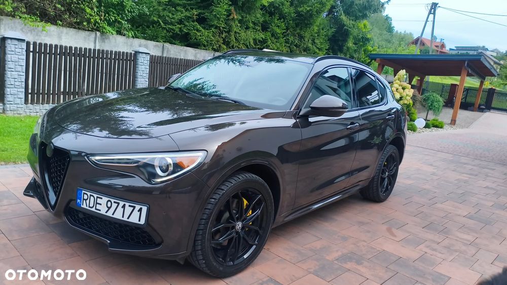 Alfa Romeo Stelvio 2.0 Turbo 16V AT8-Q4 Executive - 1