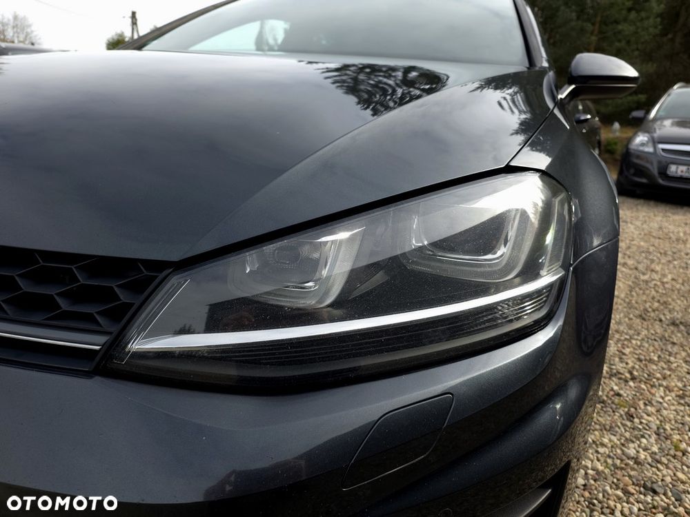 Volkswagen Golf - 28