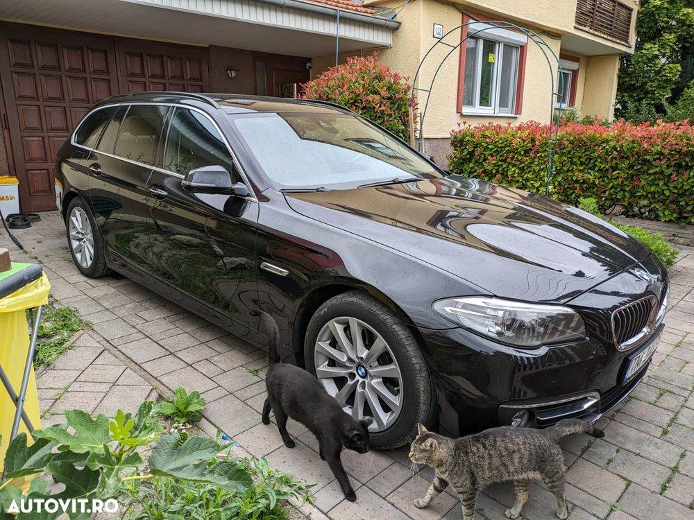 BMW Seria 5 525d xDrive Aut. Luxury Line - 11