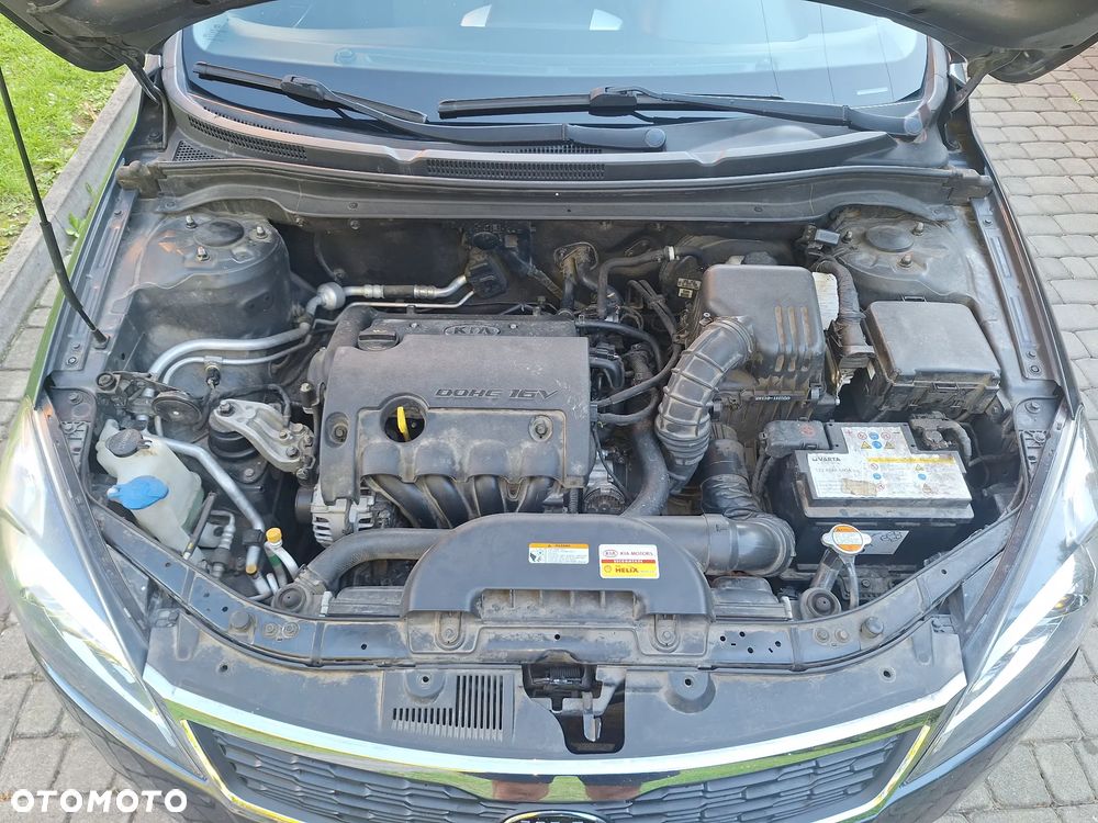 Kia Ceed - 15