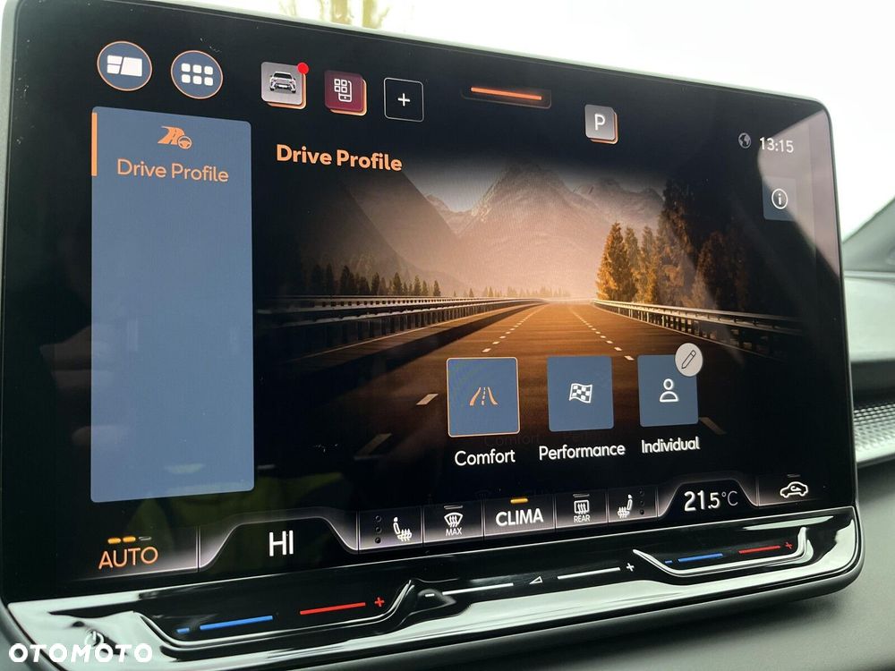 Cupra Terramar - 30