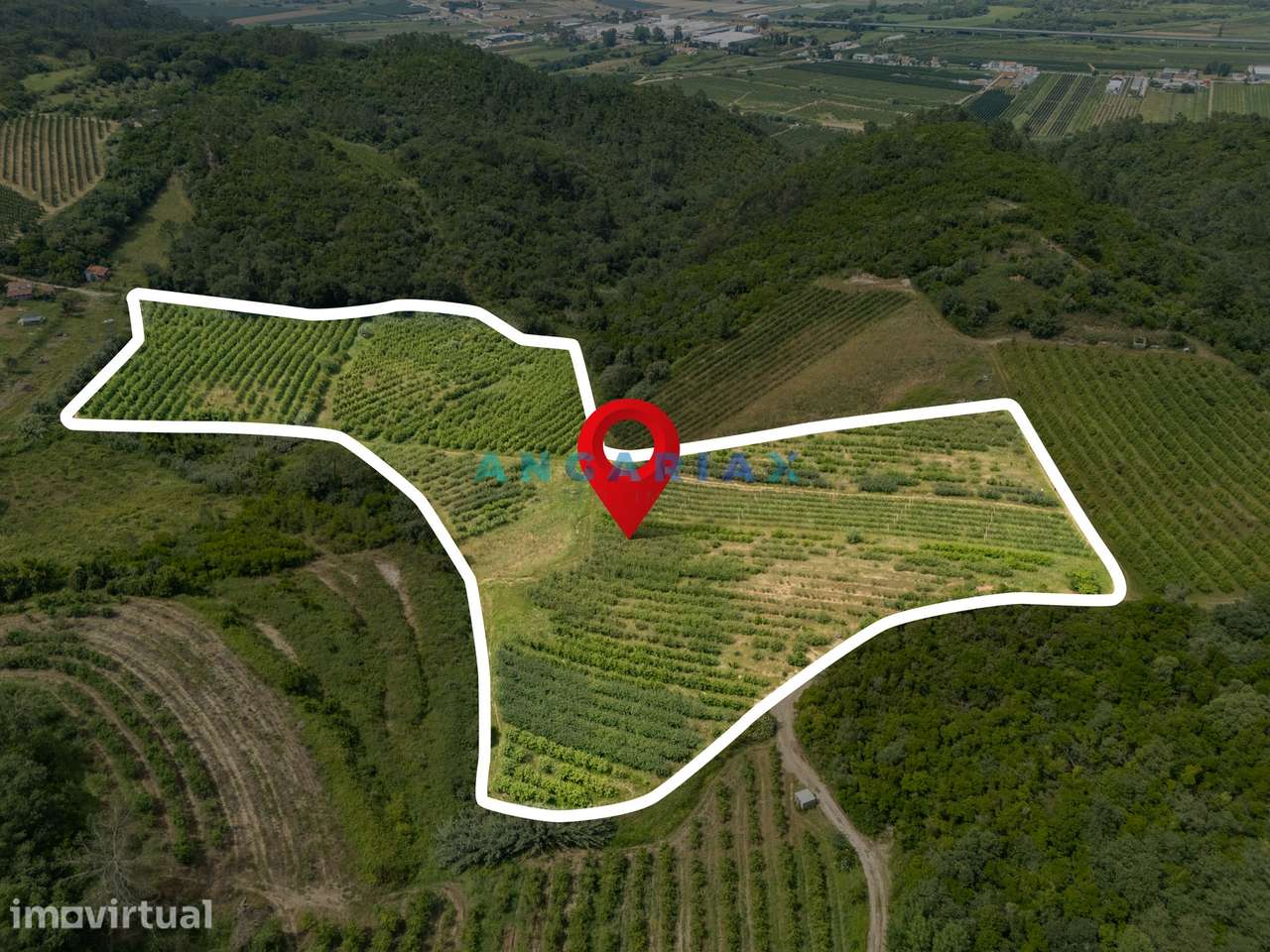ANG1645 - Terreno para Venda em Vestiaria, Alcobaça - Grande imagem: 3/37