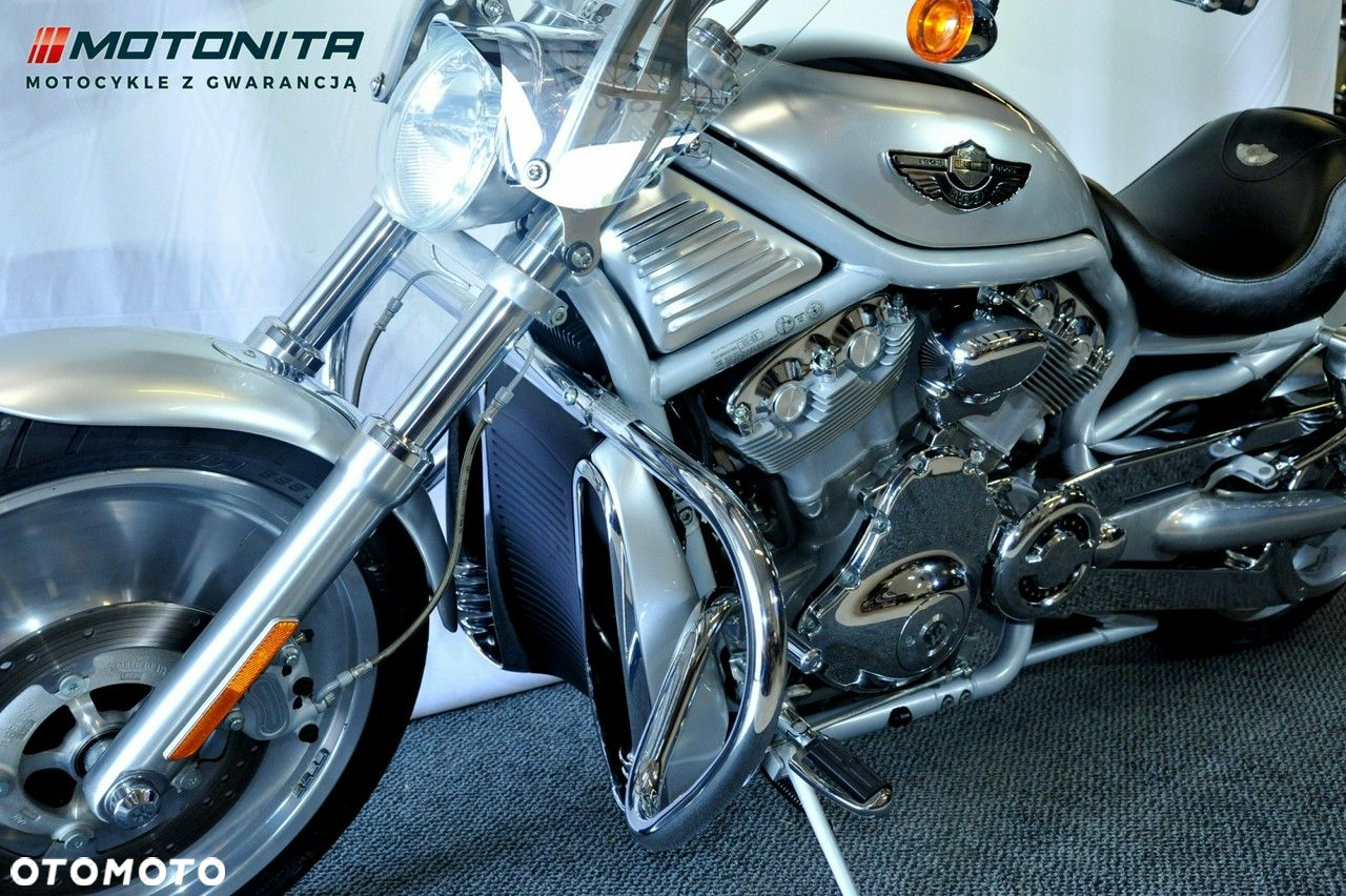 Harley-Davidson Softail V-Rod - 20