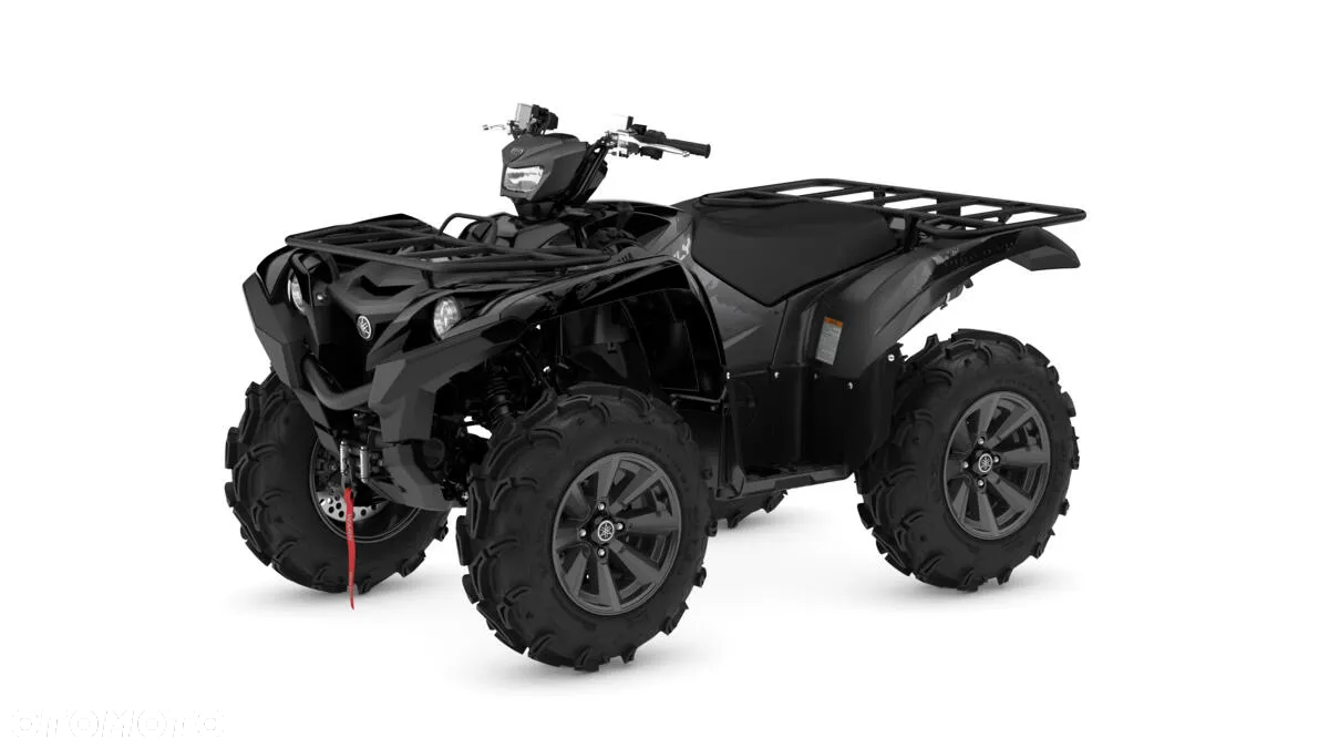 Yamaha Grizzly - 6