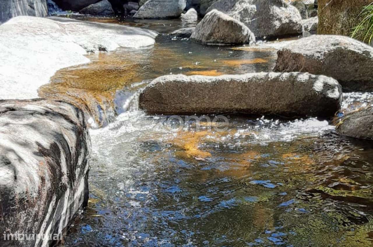 Quinta junto ao rio Seia - Grande imagem: 4/17
