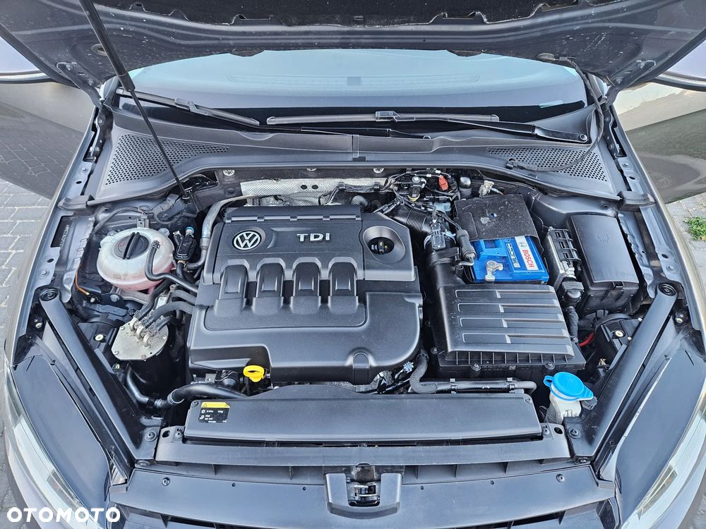 Volkswagen Golf - 28