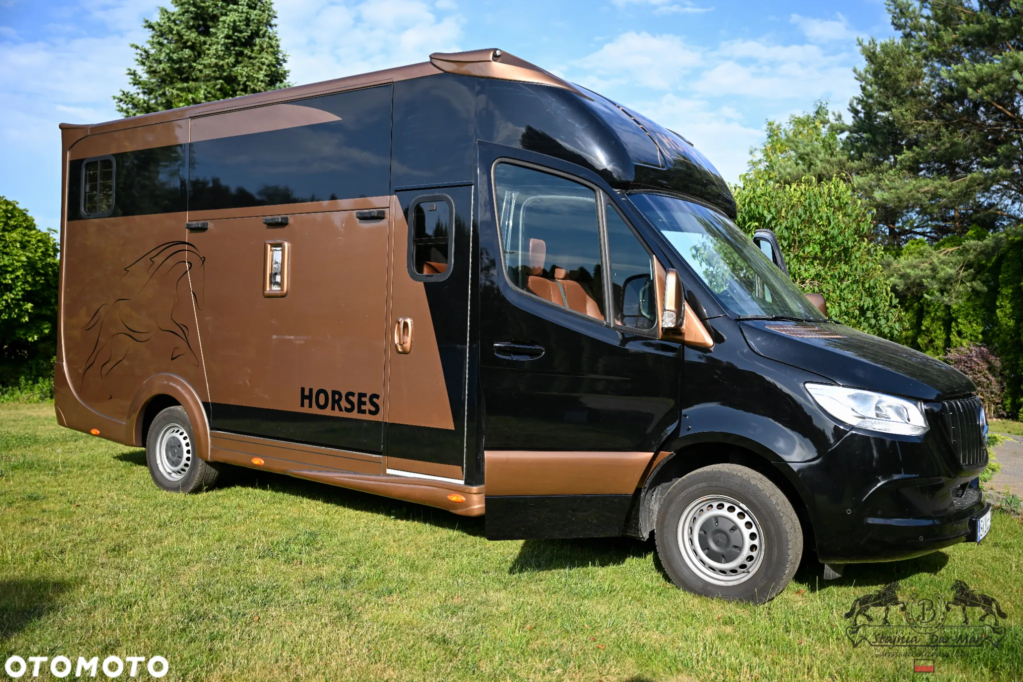 Mercedes-Benz Sprinter Koniowóz - 2