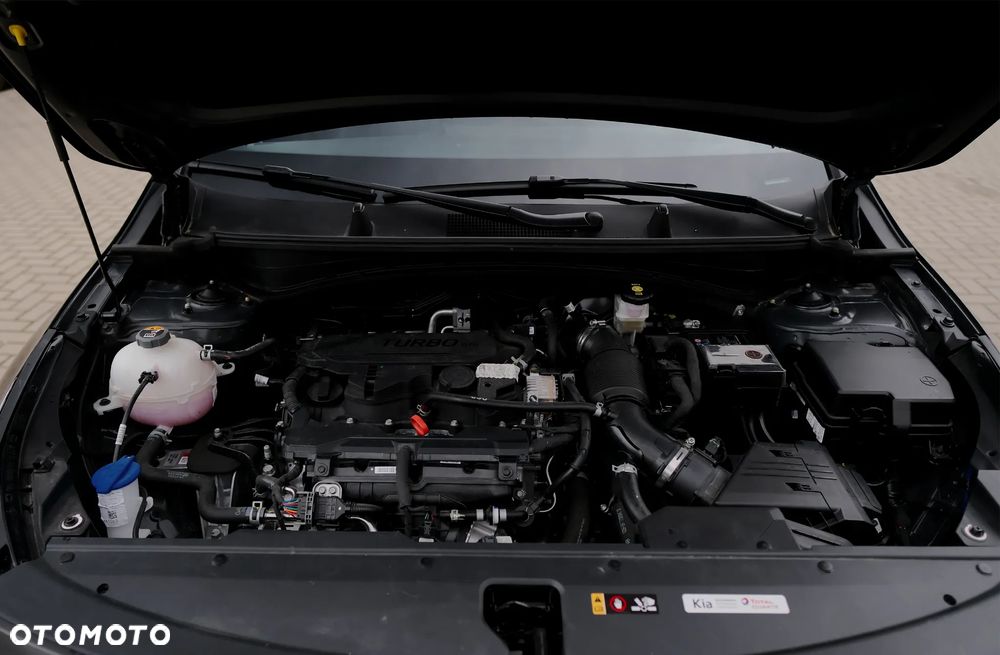 Kia Sportage 1.6 T-GDI MHEV Business Line 2WD DCT - 40