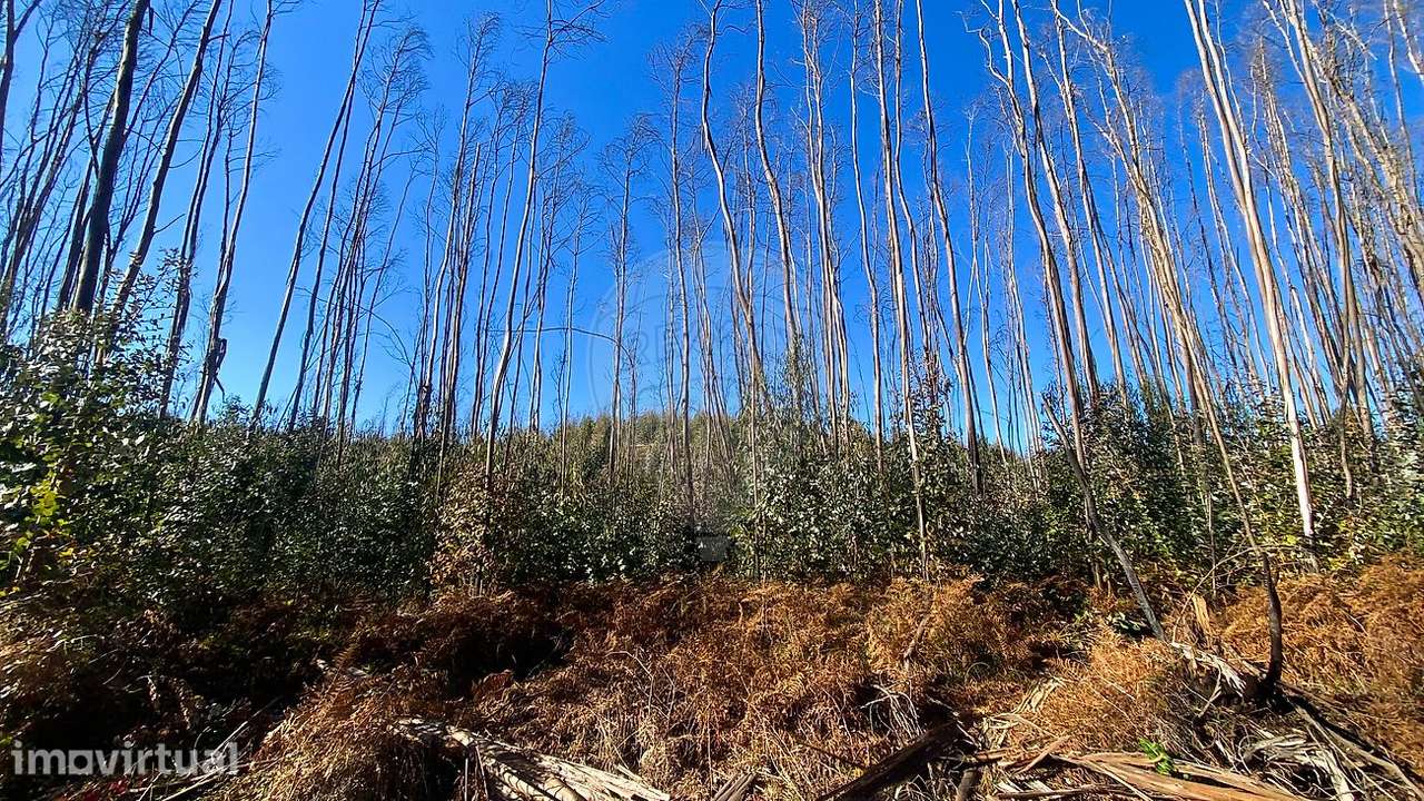 Terreno  para venda - Grande imagem: 3/10