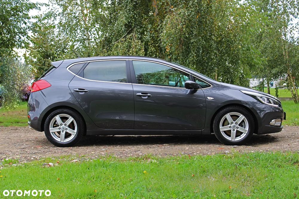 Kia Ceed 1.6 CRDi 128 Fifa World Cup Edition - 10