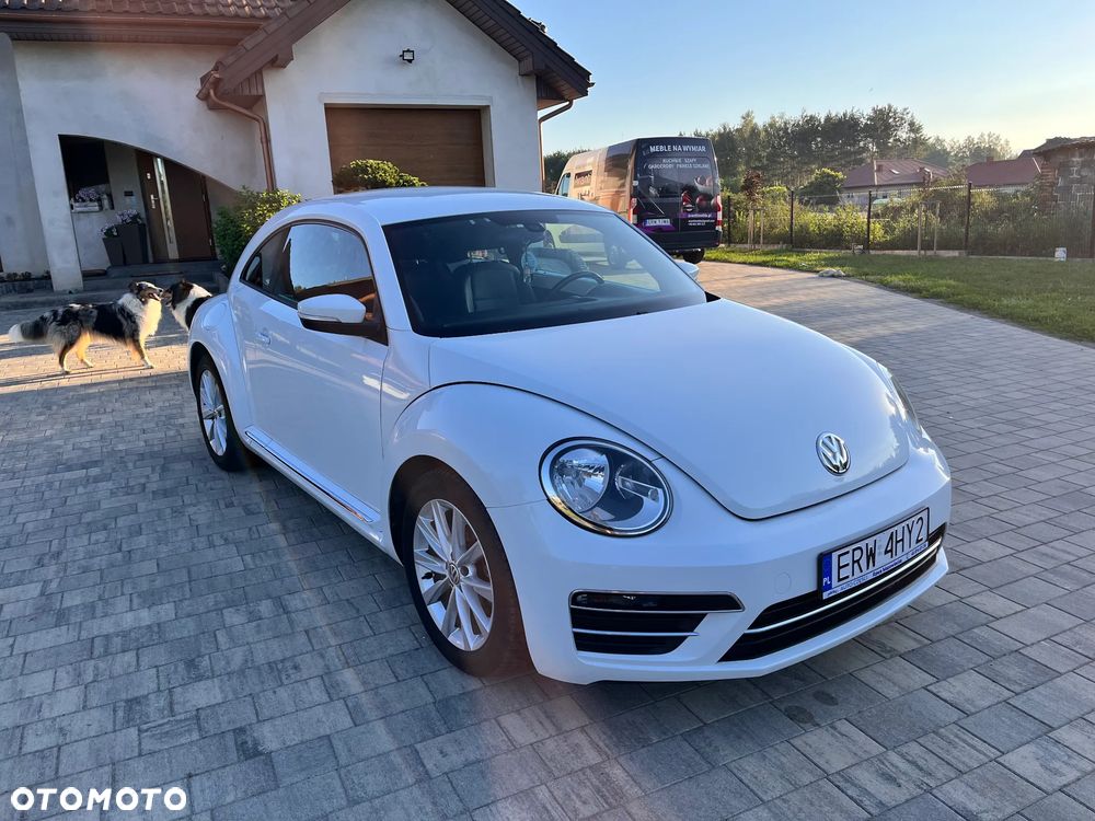Volkswagen Beetle - 3