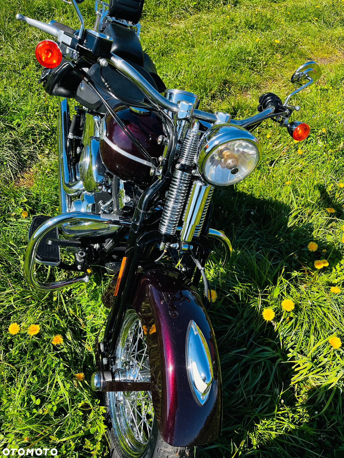 Harley-Davidson Softail Springer Classic - 5