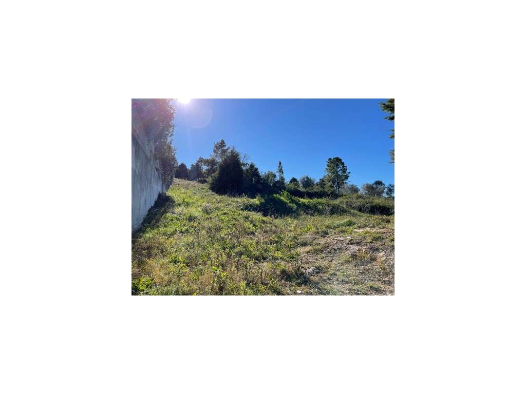 Lote de terreno com vistas para a cidade - Carvalhais - Grande imagem: 4/9