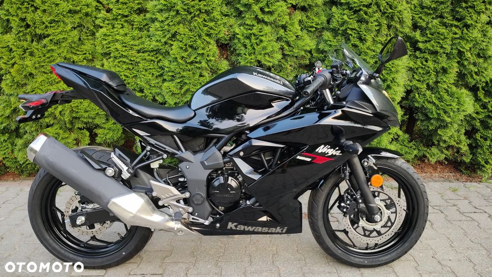Kawasaki Ninja - 4
