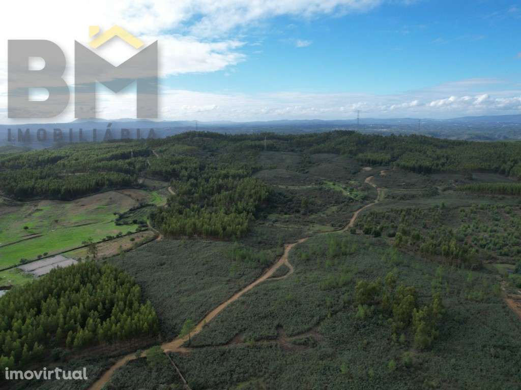 Terreno rústico de 1.58hectares - Grande imagem: 2/5