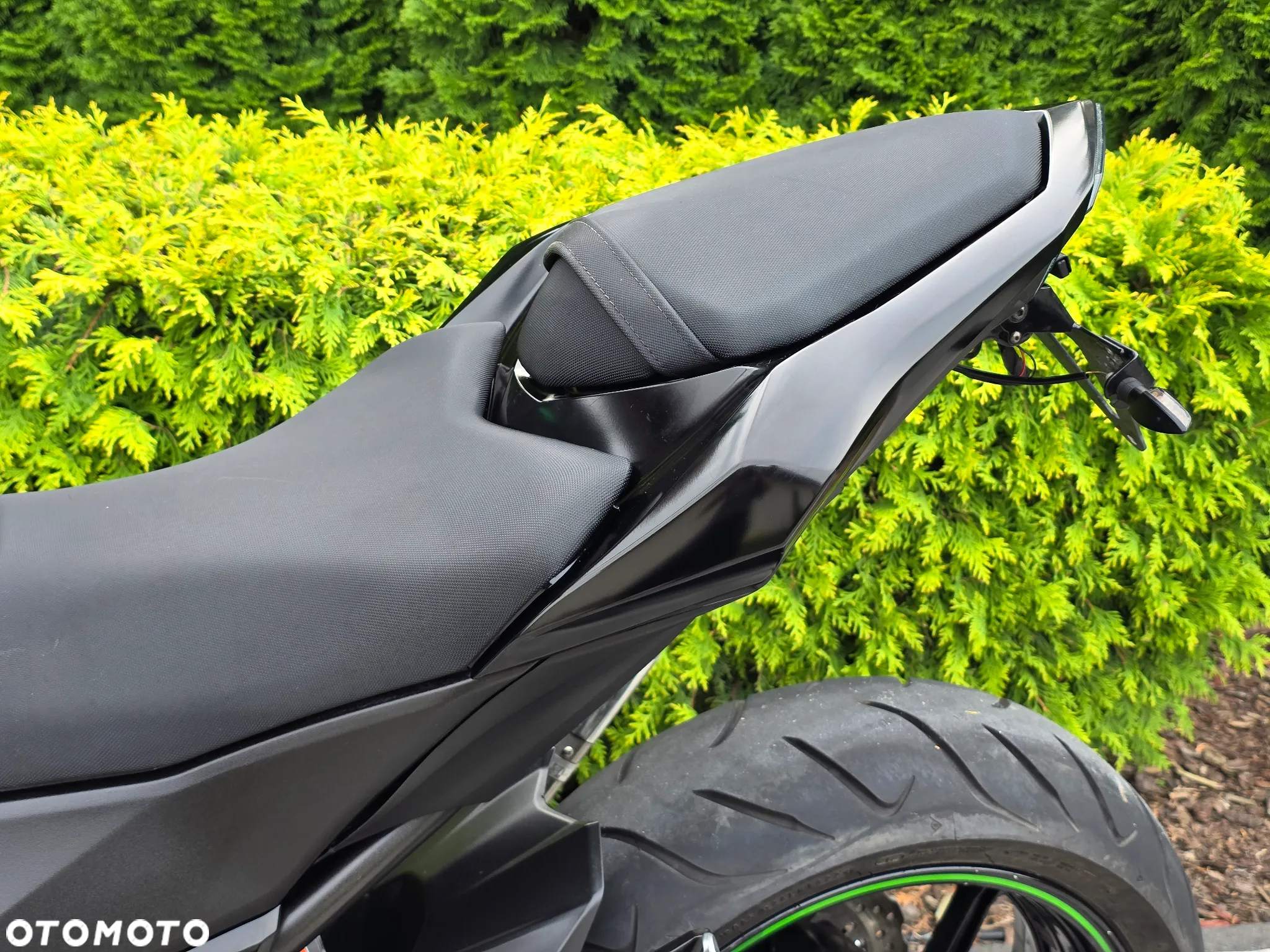 Kawasaki Z - 39
