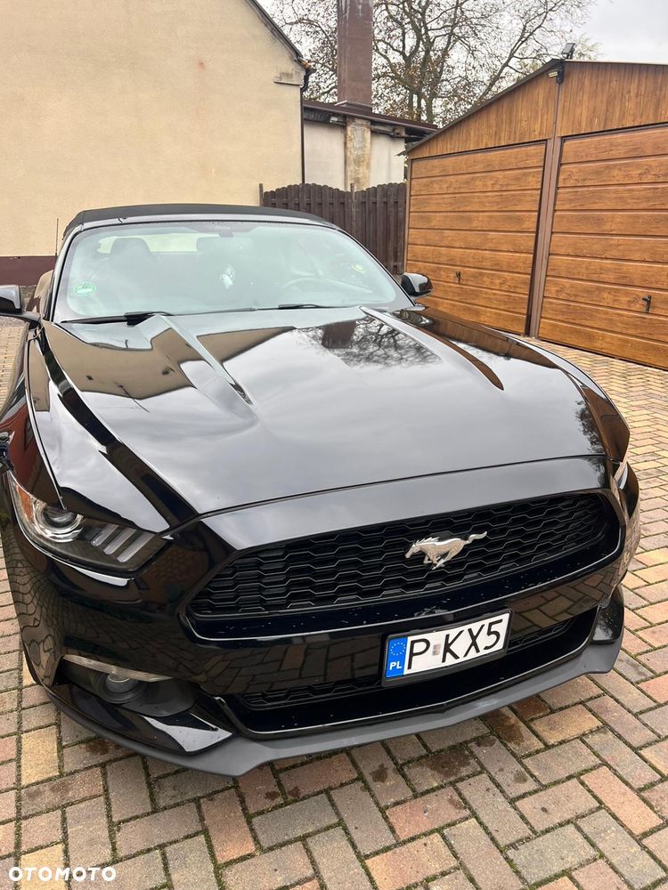 Ford Mustang 5.0 Ti-VCT V8 Black Shadow Edition - 13