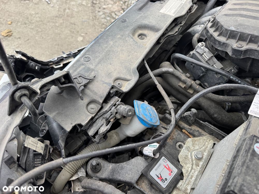 Seat Ibiza - 28