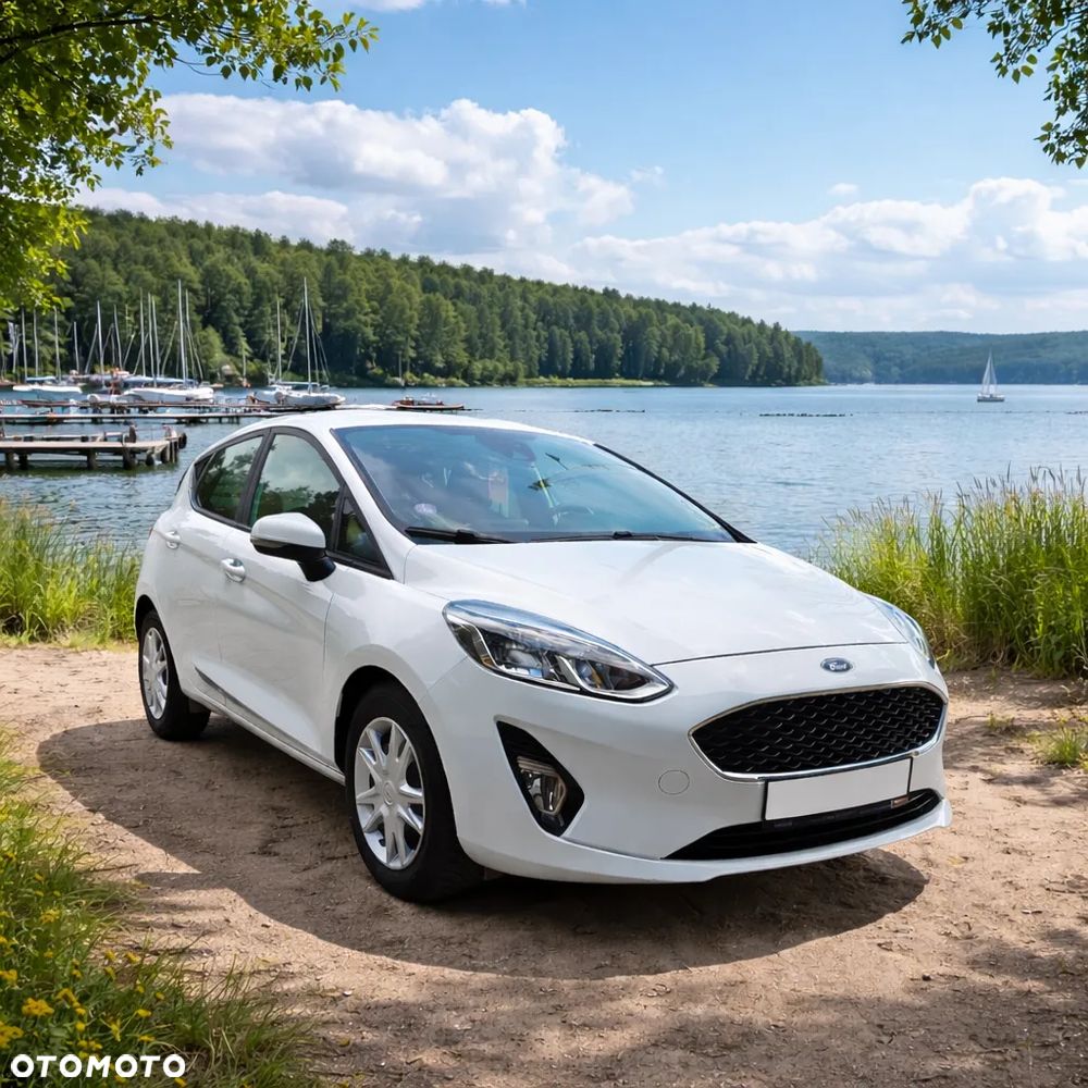 Ford Fiesta - 1