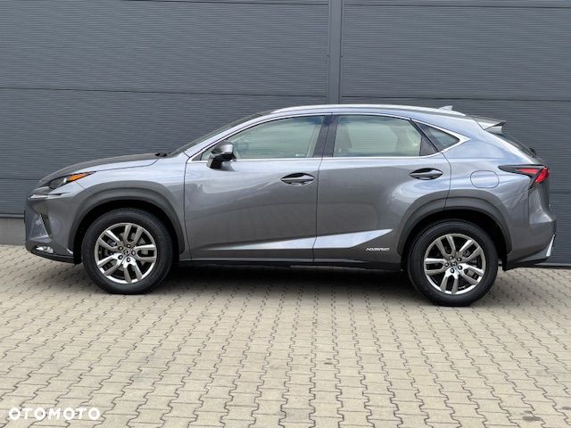 Lexus NX - 8