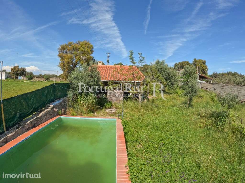 Quintinha T1 com piscina - Grande imagem: 2/31