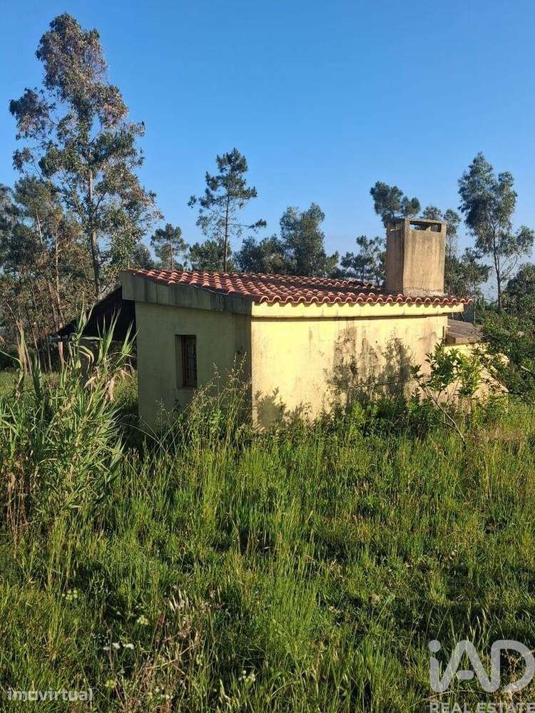 Terreno Agrícola em Alcobaça e Vestiaria - Grande imagem: 3/21
