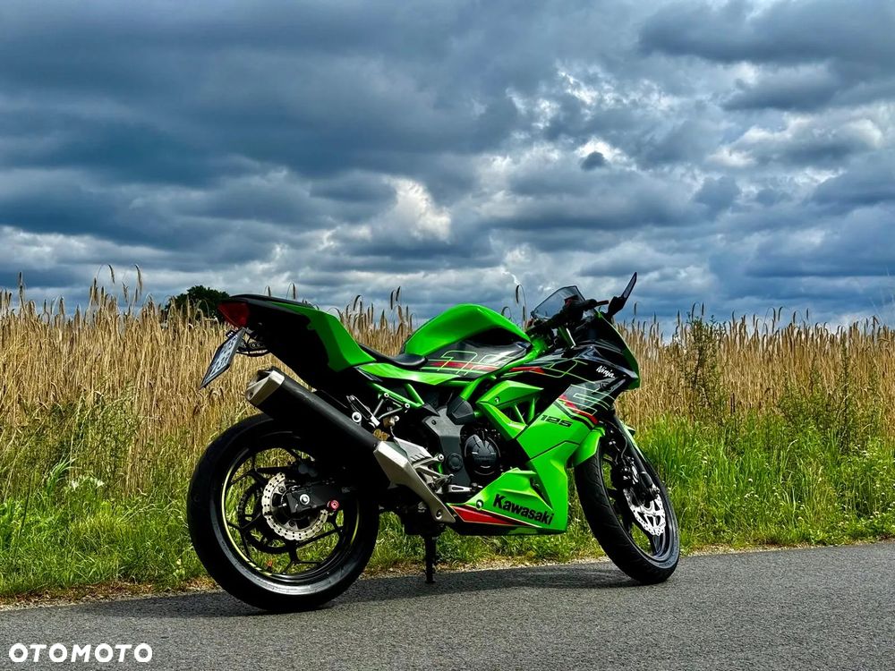 Kawasaki Ninja - 3