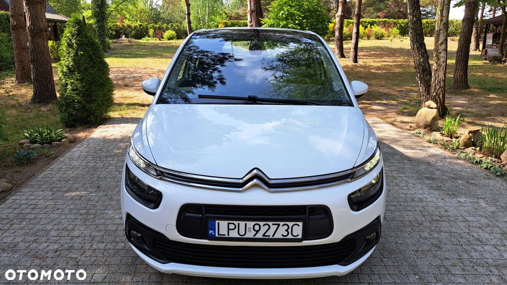 Citroën C4 Picasso BlueHDi 120 EAT6 Business Class - 14