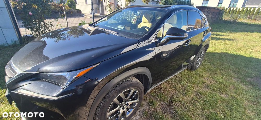 Lexus NX - 10