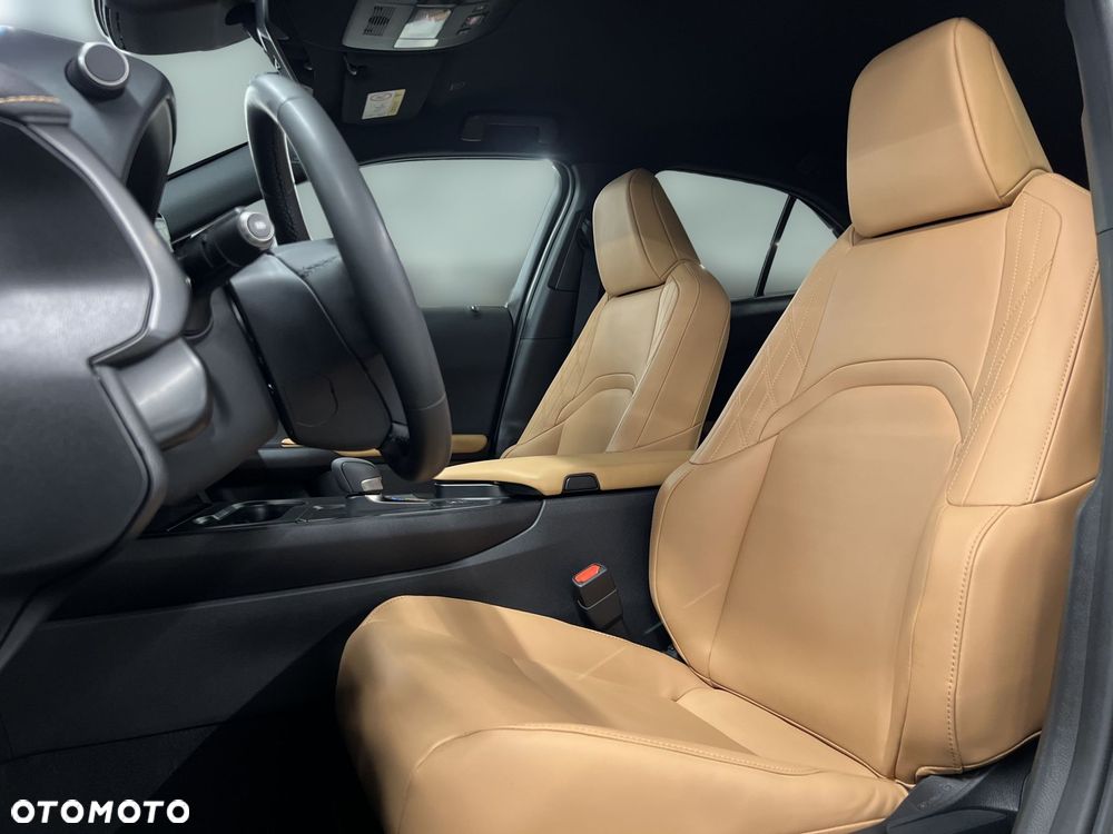 Lexus UX - 19