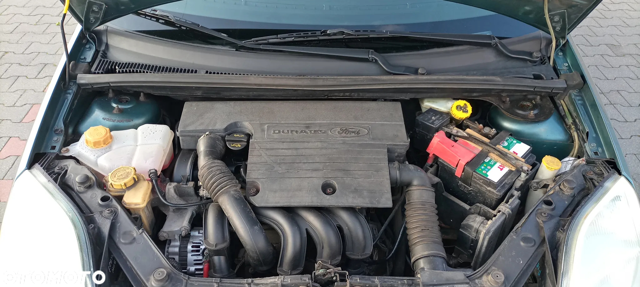 Ford Fiesta - 6
