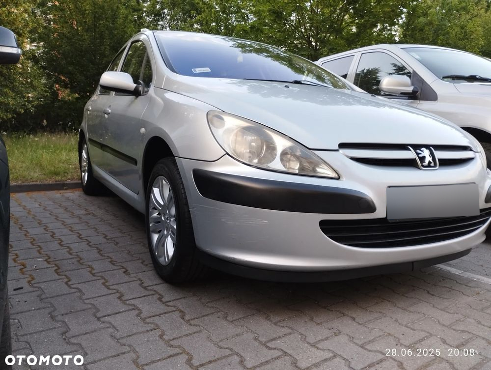 Peugeot 307 1.6 Mistral - 29