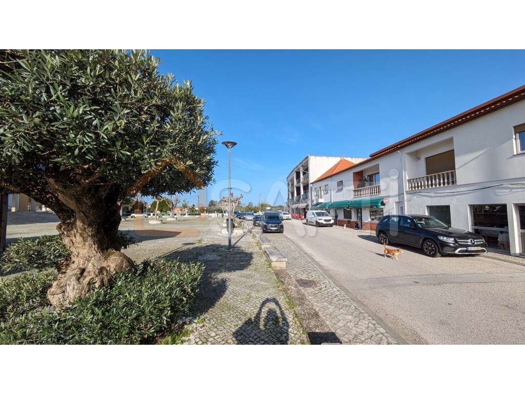 Lote para construção - Grande imagem: 3/11