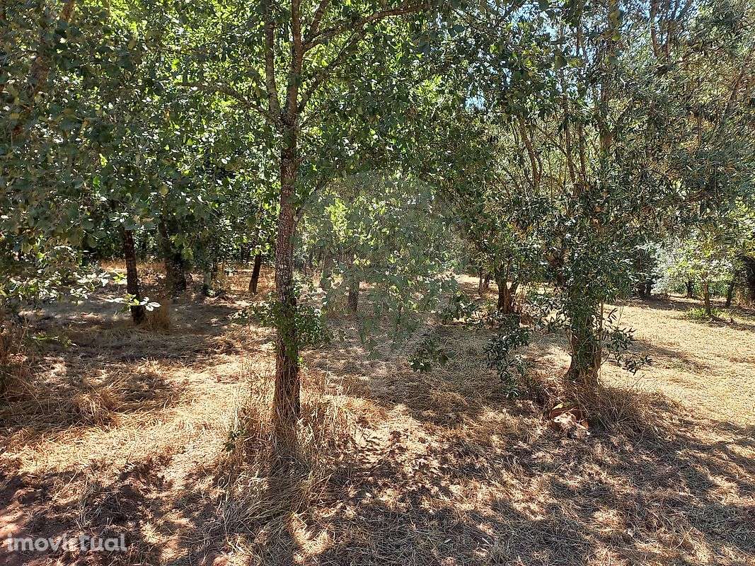 Terreno  para venda - Grande imagem: 4/7