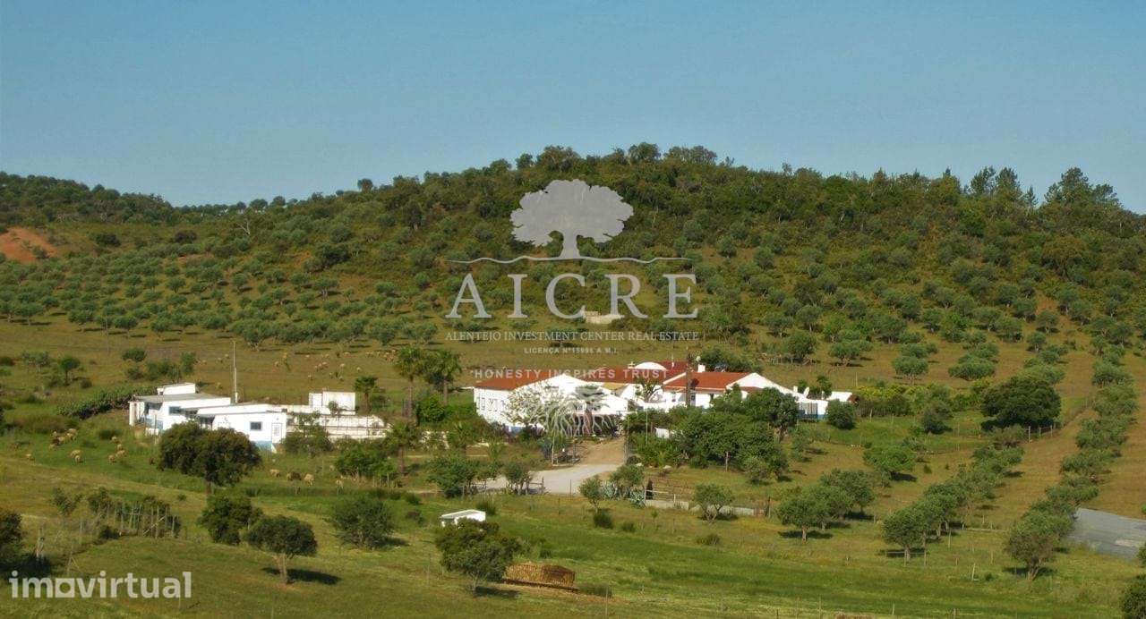 Propriedade de Excelência junto à Barragem do Alqueva – 22 Hectares co - Grande imagem: 2/60