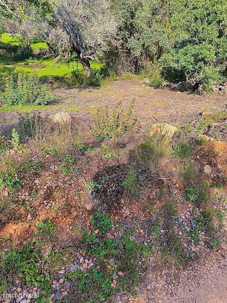 TERRENO RUSTICO EM QUERENÇA COM 1650m2 - Grande imagem: 3/4