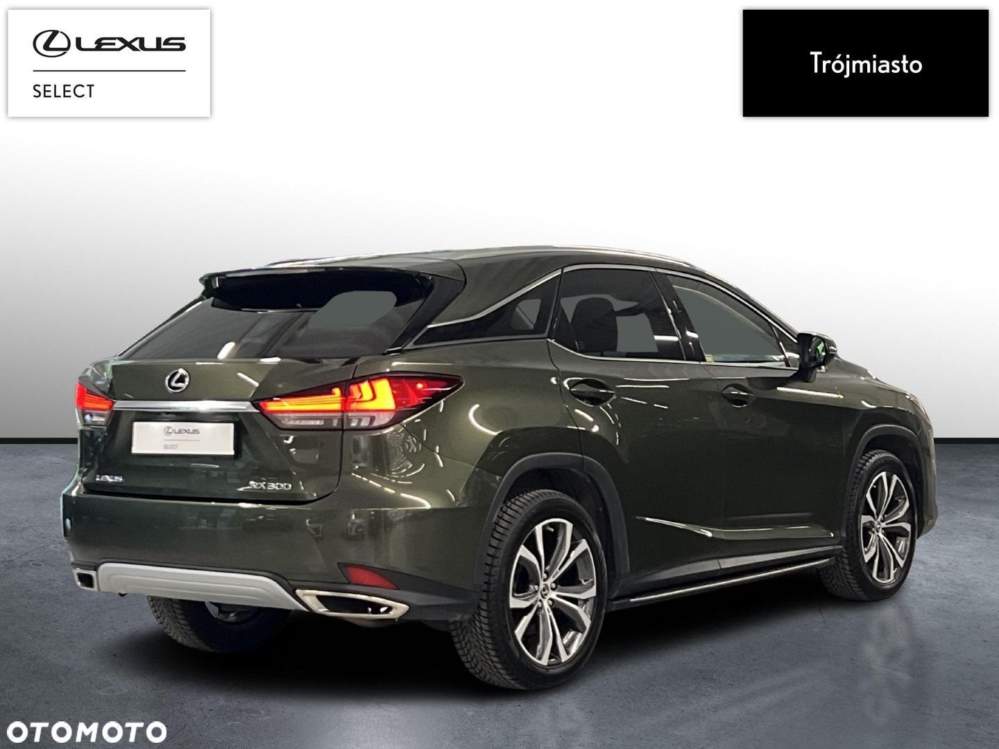 Lexus RX - 6