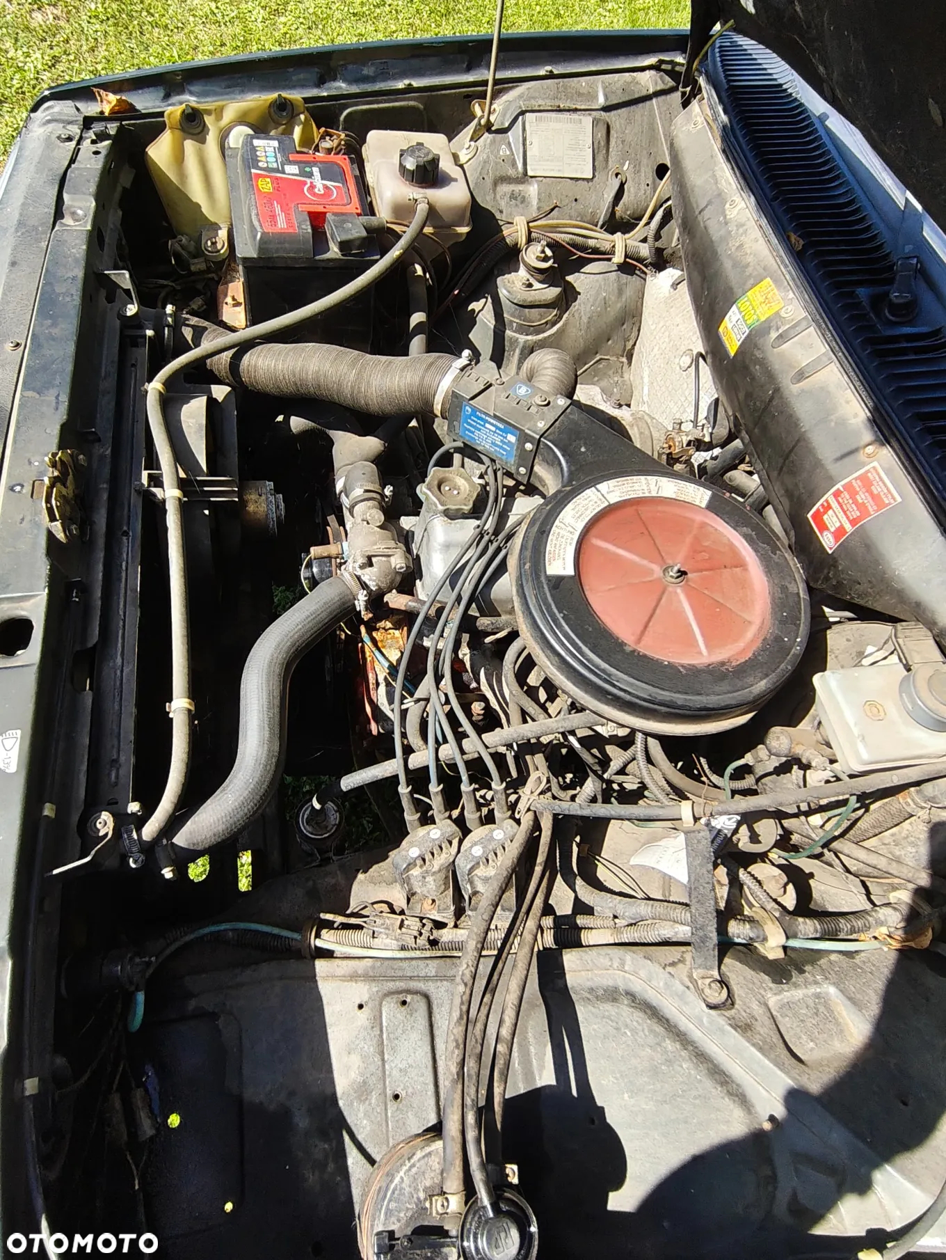 Polonez Caro - 10