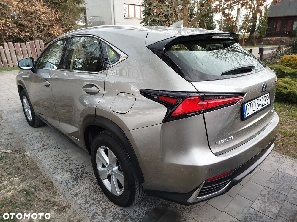 Lexus NX 300h Elegance 2WD - 5