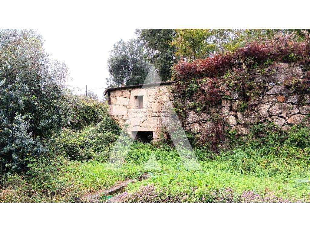 Quinta para reconstrução para viver, descansar ou para investir no ... - Grande imagem: 3/16