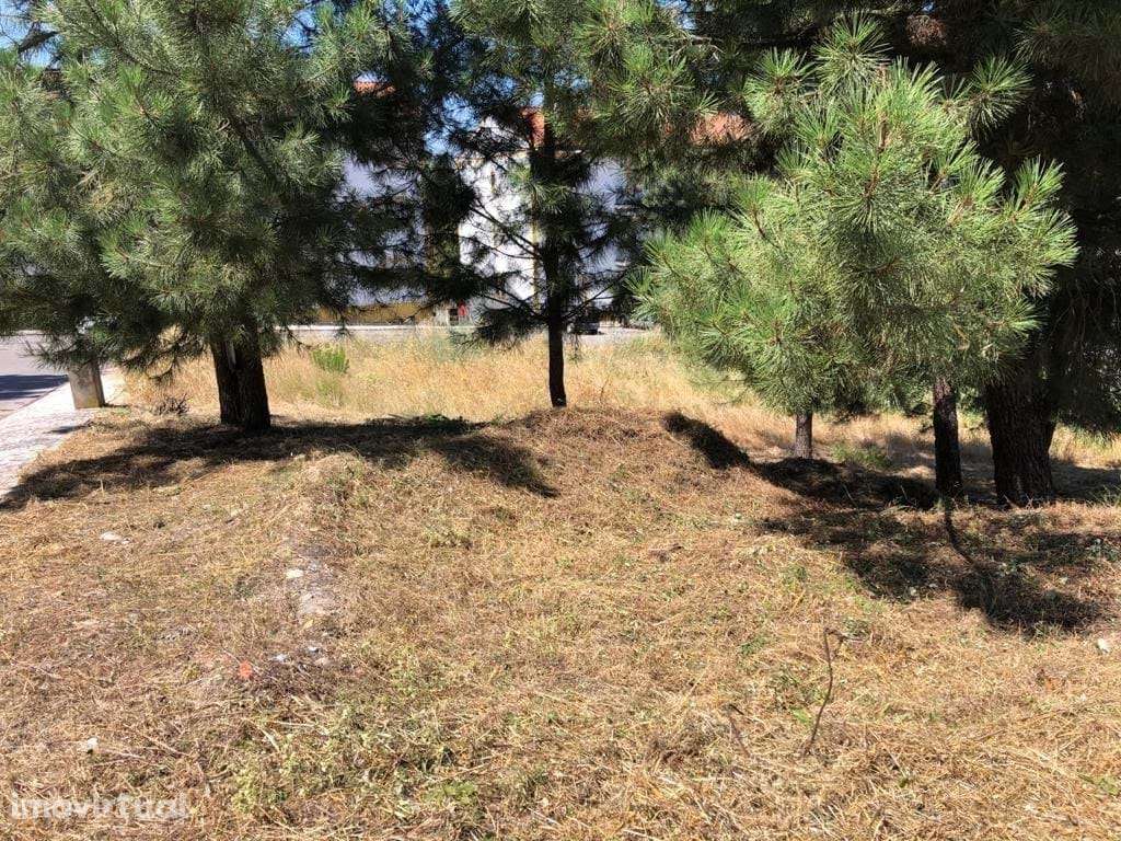 Lote de Terreno  Venda em Abrantes (São Vicente e São João) e Alferrar - Grande imagem: 3/6