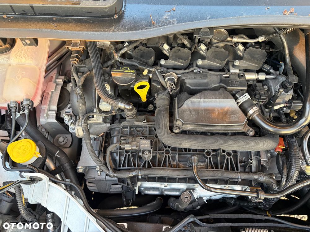 Ford Kuga 1.5 EcoBoost FWD Edition ASS MMT6 - 27