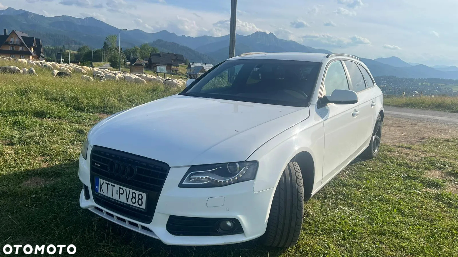 Audi A4 2.0 TDI Quattro - 7