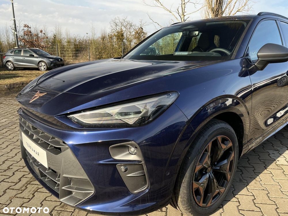 Cupra Terramar - 10