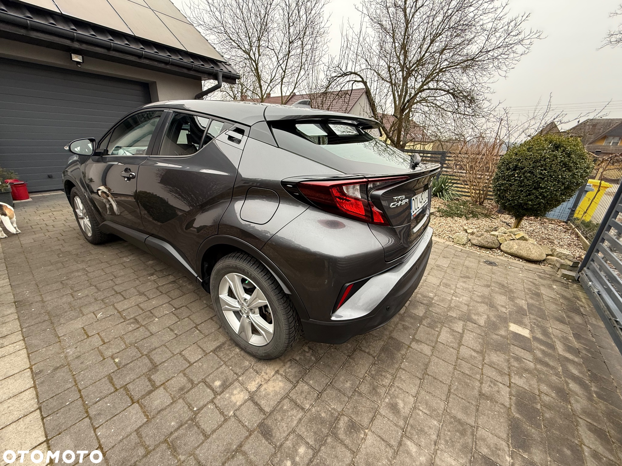 Toyota C-HR - 19